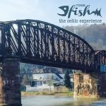Tone Fish - the celtic experience