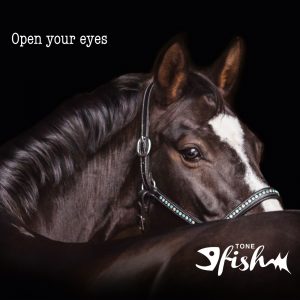 Tone Fish - Open your eyes (2019)