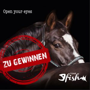 Besser bei euch als bei uns, denn wir haben das Album schon: Open your eyes
